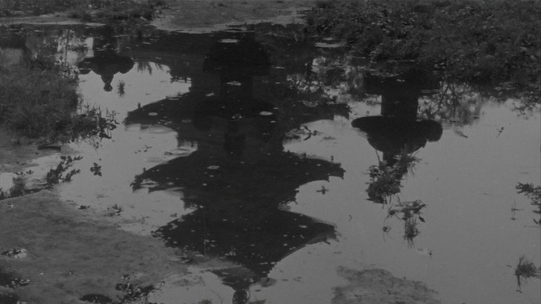 кадр из фильма Дикий гусь