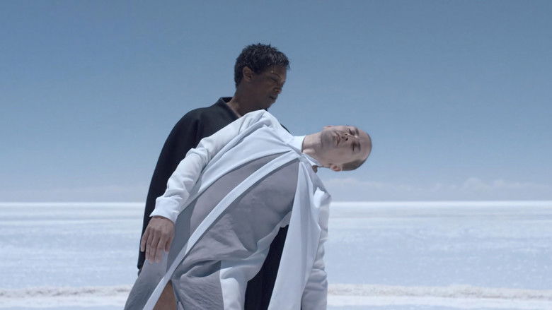 кадр из фильма Symmetry