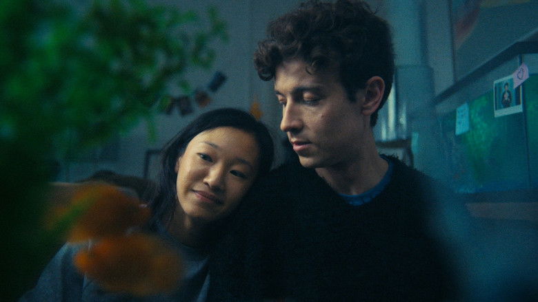 кадр из фильма Fishtank