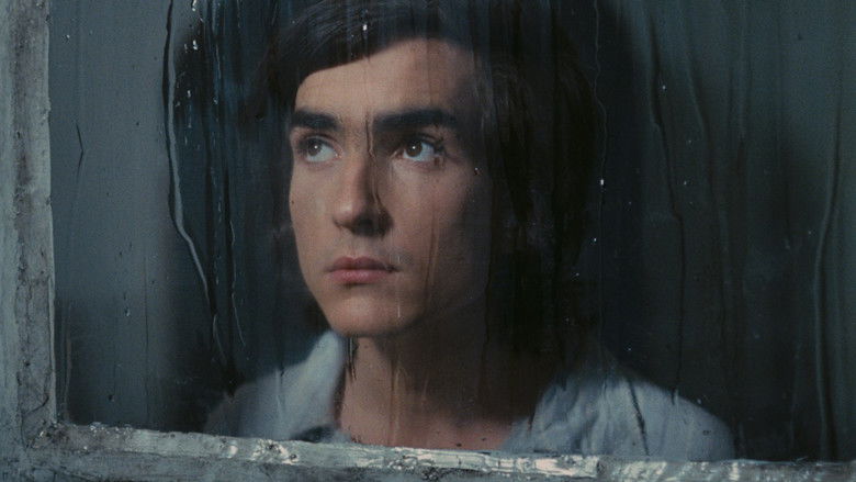 кадр из фильма Четыре ночи мечтателя