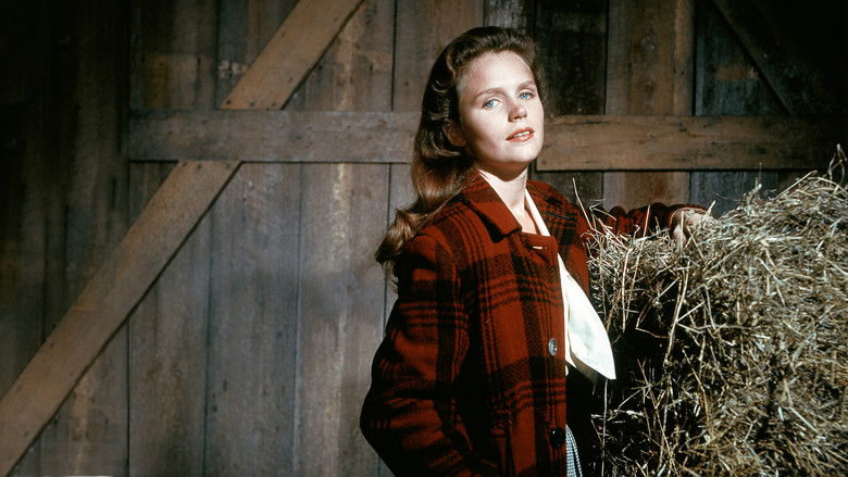 кадр из фильма Дикая река