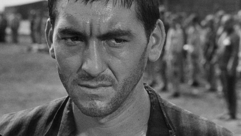 кадр из фильма Боксер и смерть