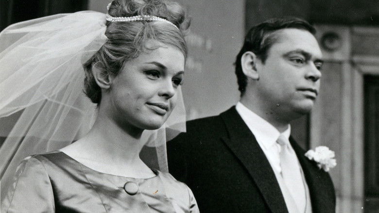 кадр из фильма Hvis lille pige er du?