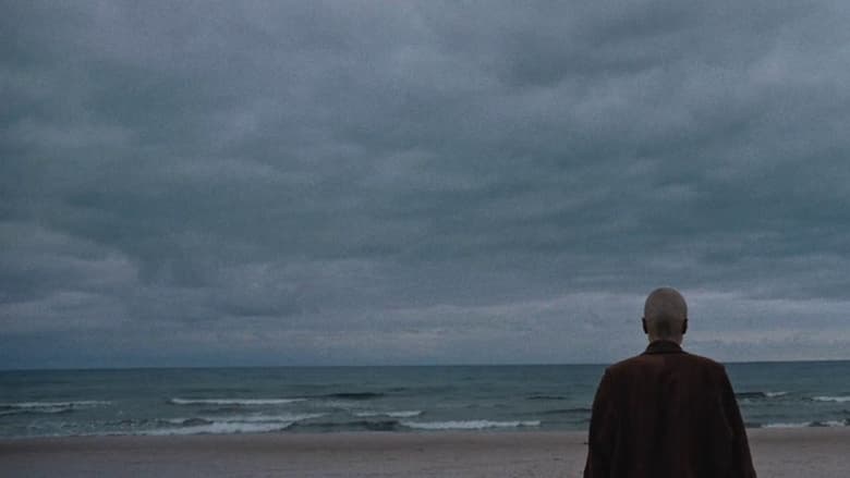 Pierwsze lato końca świata