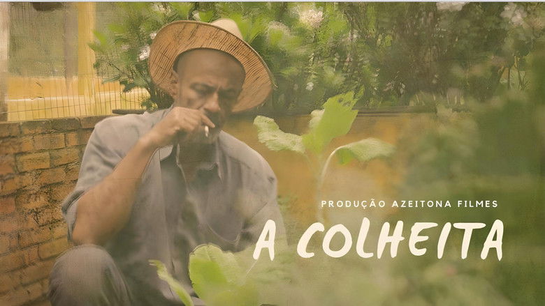 кадр из фильма A Colheita