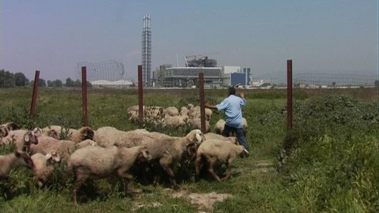 кадр из фильма Biùtiful Cauntri