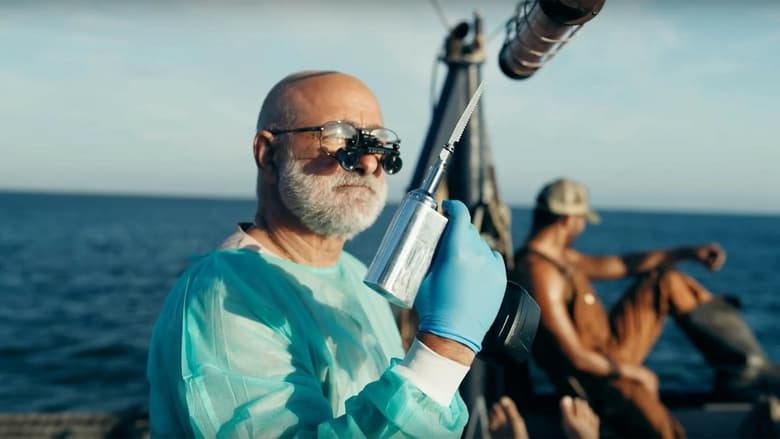 кадр из фильма Открытое море: Игра на выживание