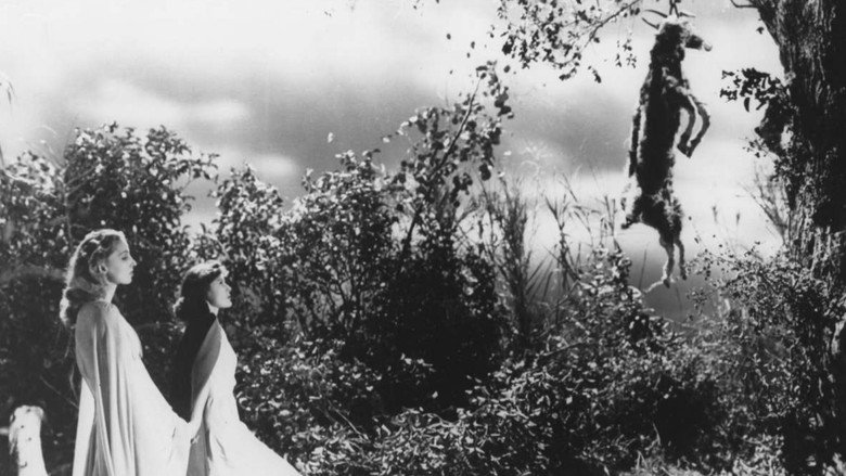 кадр из фильма Я гуляла с зомби