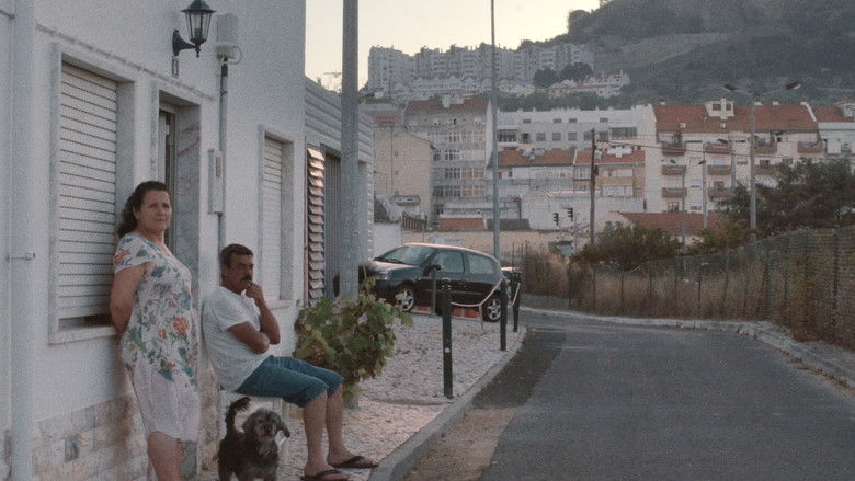 кадр из фильма Terra Franca