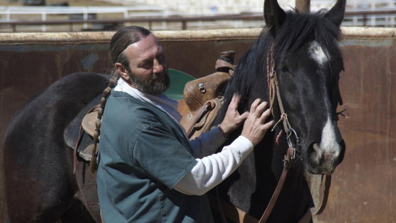 кадр из фильма The Wild Horse Redemption