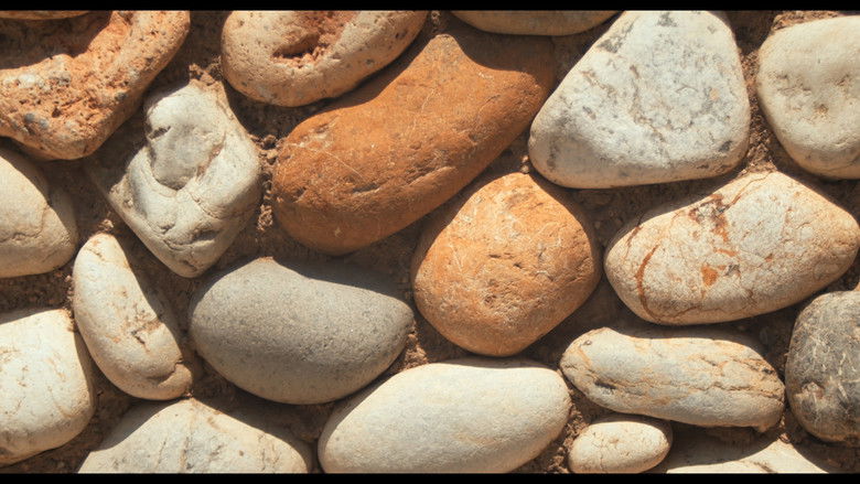 кадр из фильма Luciérnagas