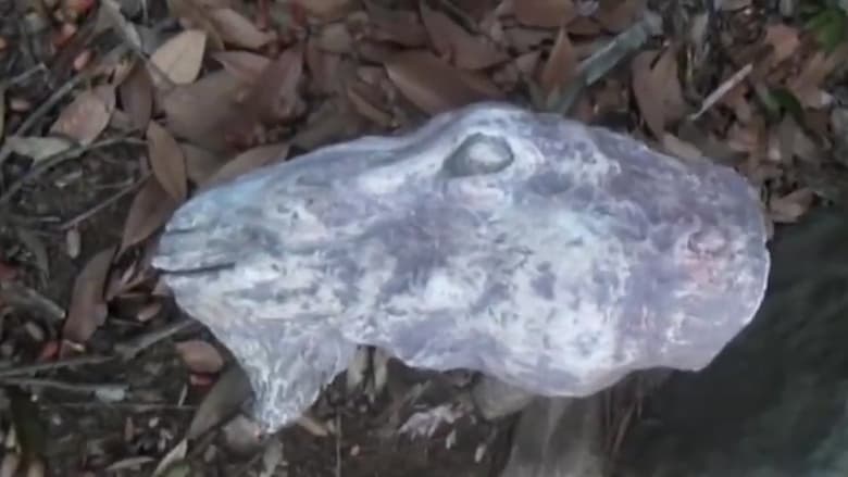 投稿心霊ファイル ~呪夢~