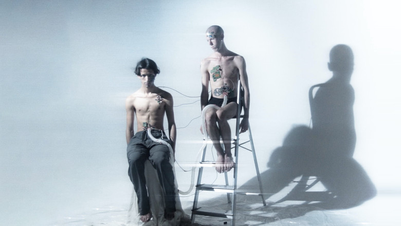 кадр из фильма Cuerpo Anónimo en Habitación Vacía