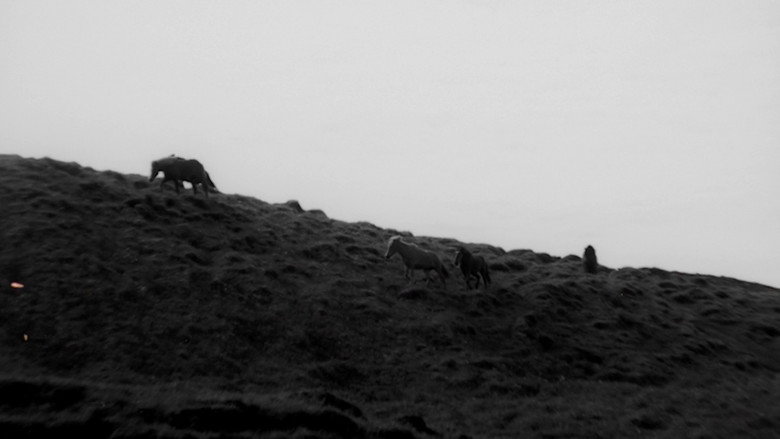 кадр из фильма When It Was Blue