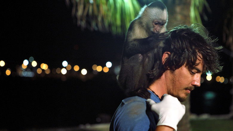 кадр из фильма Who's Your Monkey?