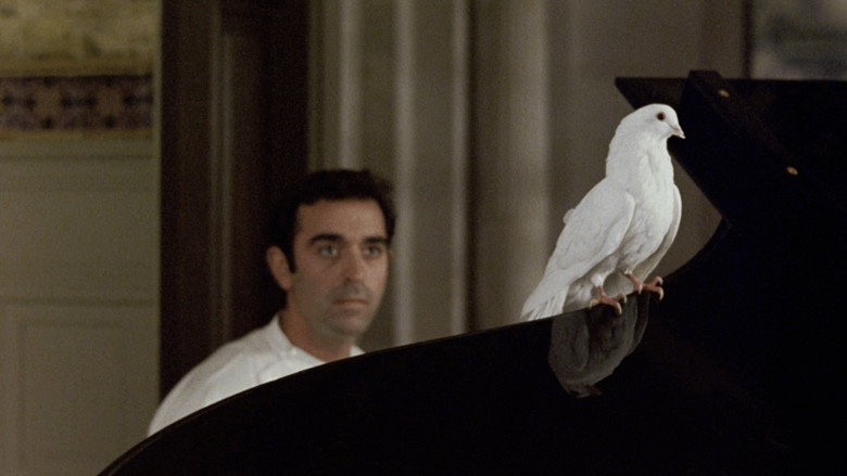 кадр из фильма Божественная комедия