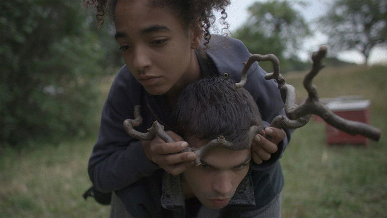 кадр из фильма Schimmer