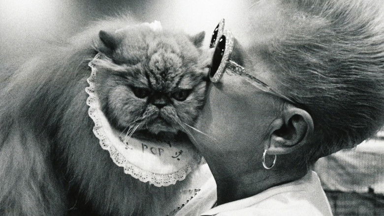 кадр из фильма Cherry Pop