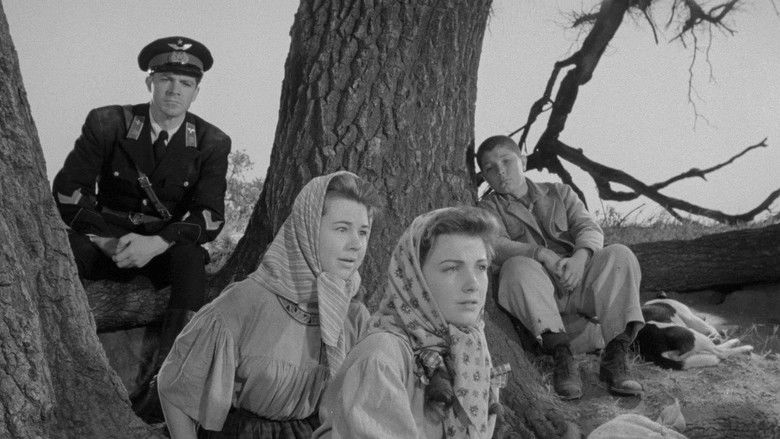 кадр из фильма Северная звезда