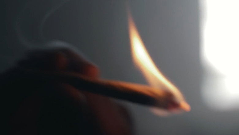 Além da Fumaça: O que o Sistema Esconde de Você?