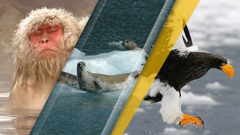 кадр из фильма Japan's Wild Year