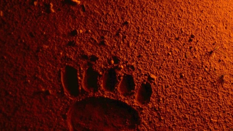 кадр из фильма Bears Discover Fire