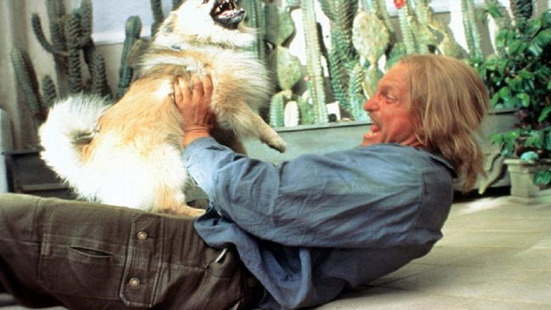 кадр из фильма Хуже не бывает