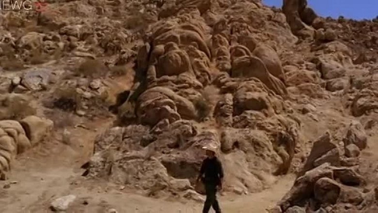 кадр из фильма The Fallen Ones