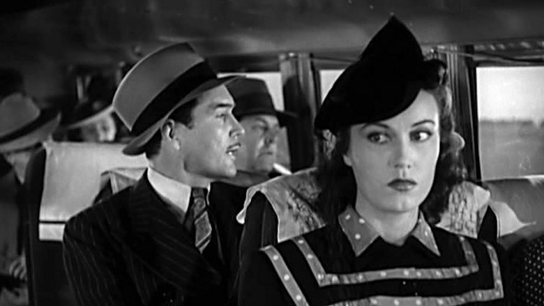 кадр из фильма Wildcat Bus