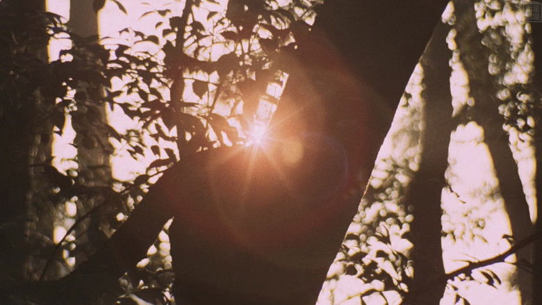 кадр из фильма 愛奴