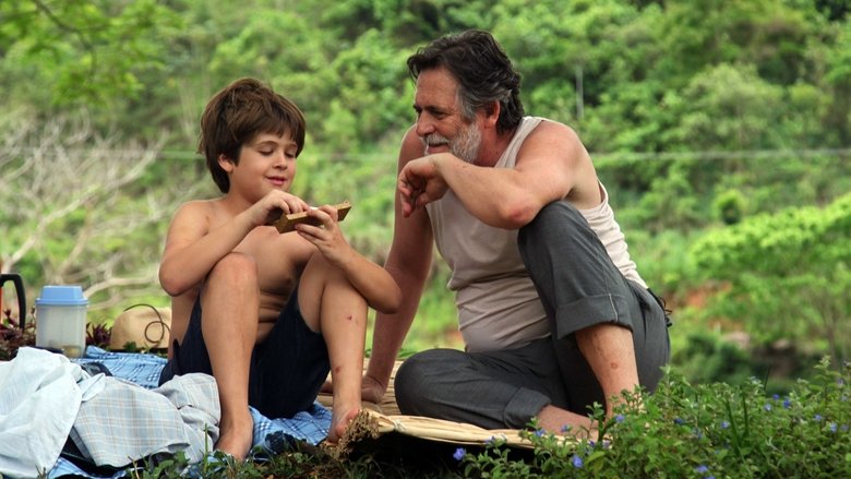 кадр из фильма Meu Pé de Laranja Lima