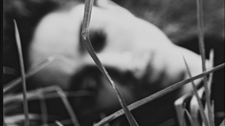 кадр из фильма Amos, Vogel