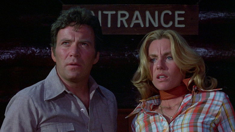 кадр из фильма Царство пауков