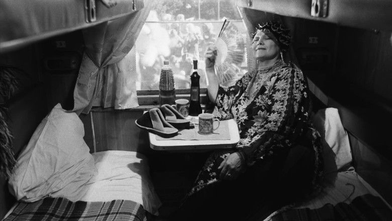 кадр из фильма Настройщик