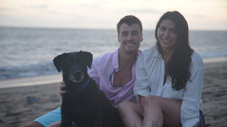 кадр из фильма Эллипс