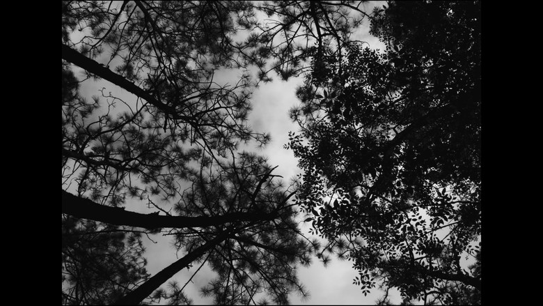 кадр из фильма Frankenstein