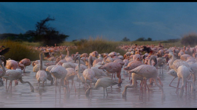 кадр из фильма Заколдованное королевство 3D