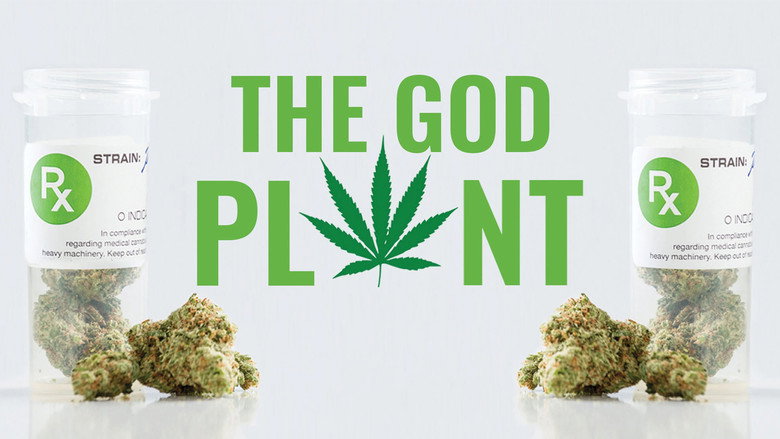 кадр из фильма The God Plant