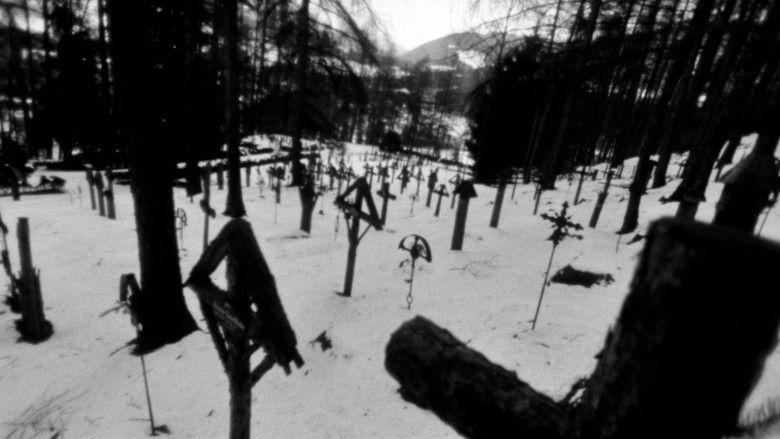 кадр из фильма Женщина озера