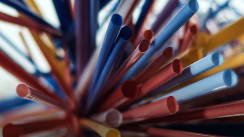 кадр из фильма Um Presente À Prova de Futuro