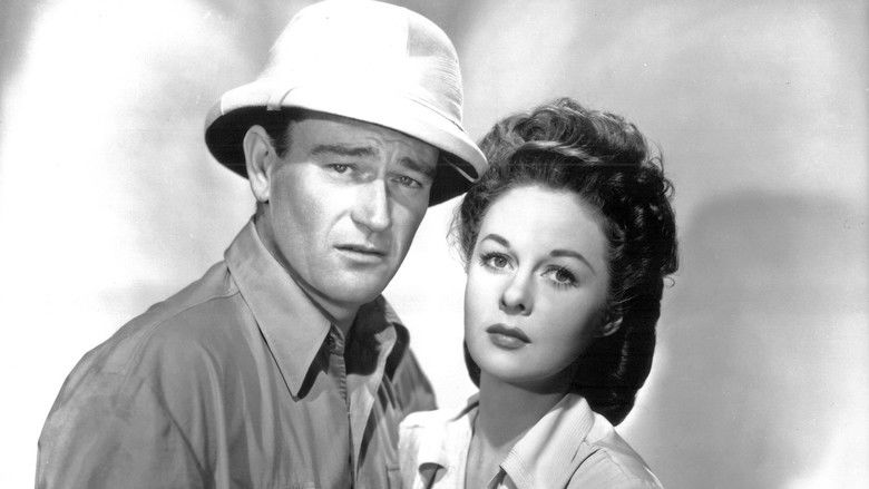 кадр из фильма На линии огня