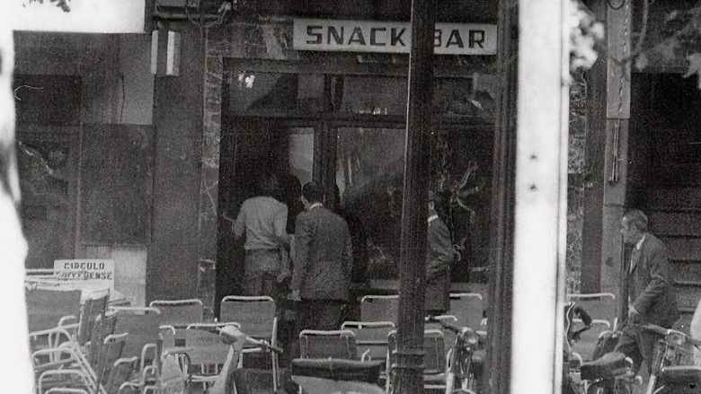 кадр из фильма Avistament 1978