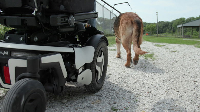 кадр из фильма Driven to Help