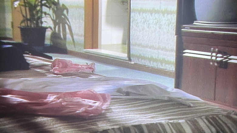 кадр из фильма 渡辺良子　スチュワーデス・レズ