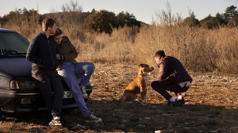 кадр из фильма Chien de la casse