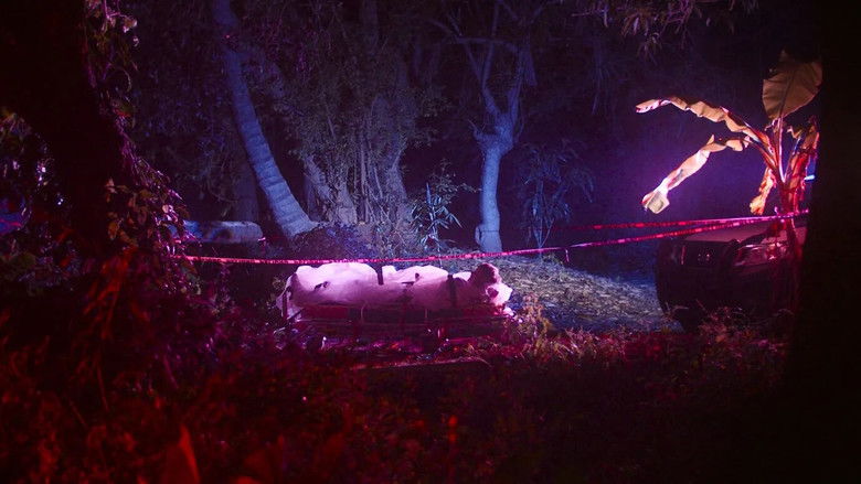 кадр из фильма De noche los gatos son pardos