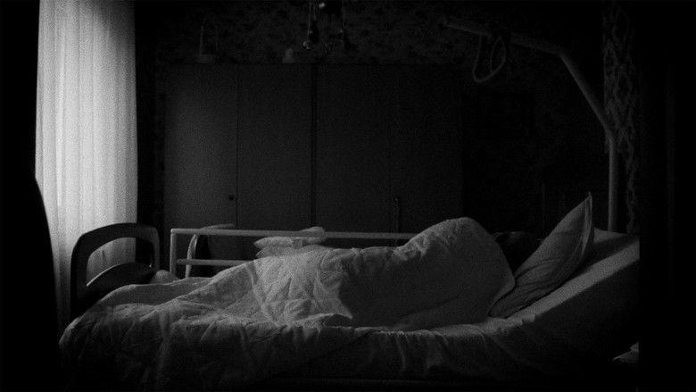 кадр из фильма ROGER, MON FRÈRE