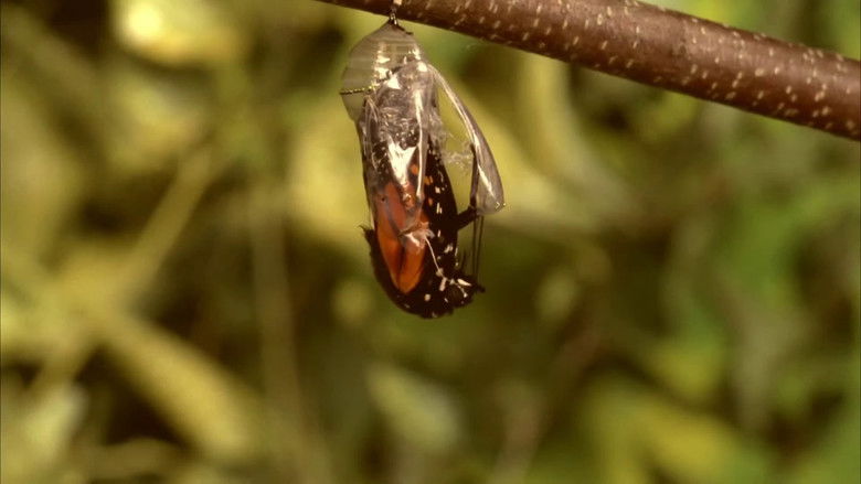 кадр из фильма Don't