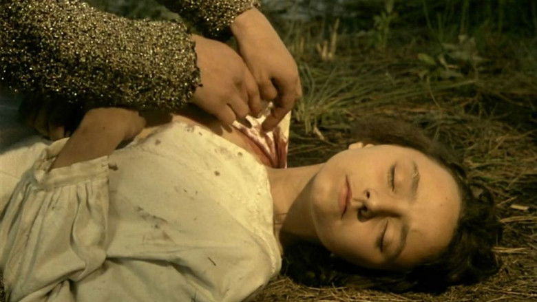 кадр из фильма Silvestre