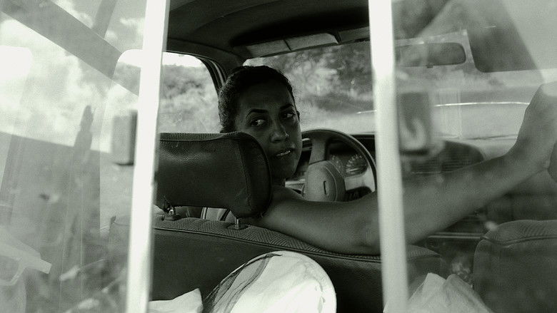 кадр из фильма La Abeja - Una Reflexión Sobre Mujeres, Tierra, y Ocupación